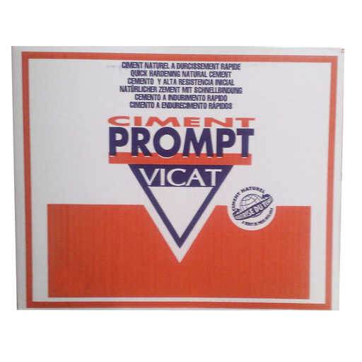 CEMENTO RAPIDO VICAT CNP PM fardo (4x5kg) 20kg PROMPT